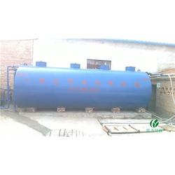 肉雞批發生態鏈與環保設備應用 打造綠色可持續的養殖產業